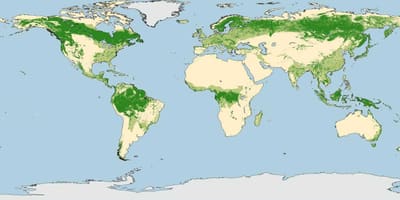 Australië bossen kaart
